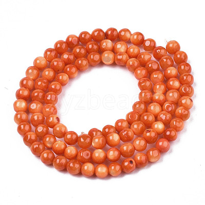 Natural Freshwater Shell Beads Strands SHEL-N003-24-B06-1