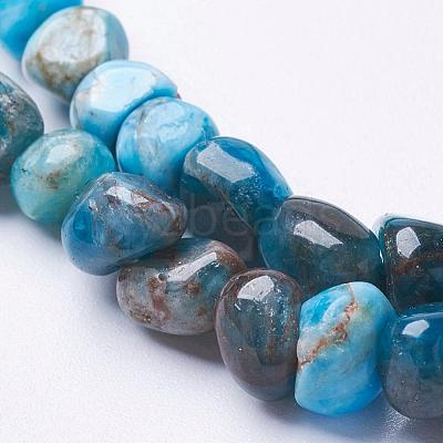Natural Apatite Beads Strands G-F506-12-1