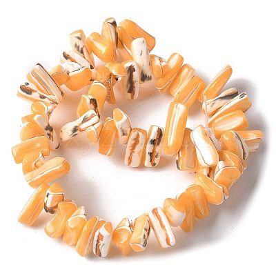 Dyed Natural Trochus Shell Beads Strands SSHEL-C013-09C-1