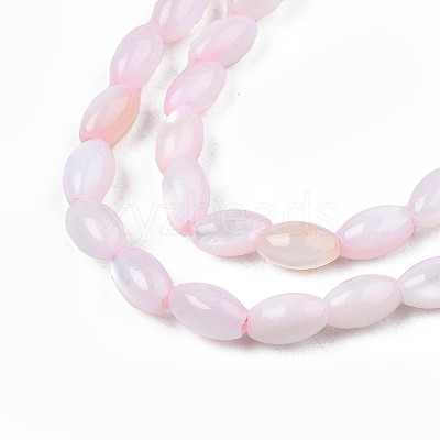 Natural Freshwater Shell Beads Strands X-SHEL-N003-25-B06-1