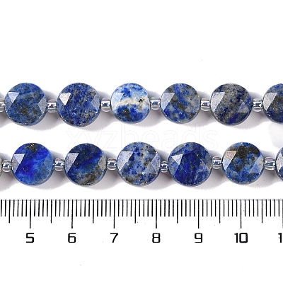 Natural Lapis Lazuli Beads Strands G-N342-16-1