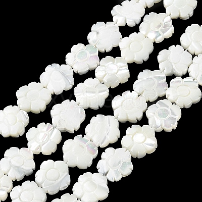Natural Trochus Shell Beads Strands BSHE-E030-03-1