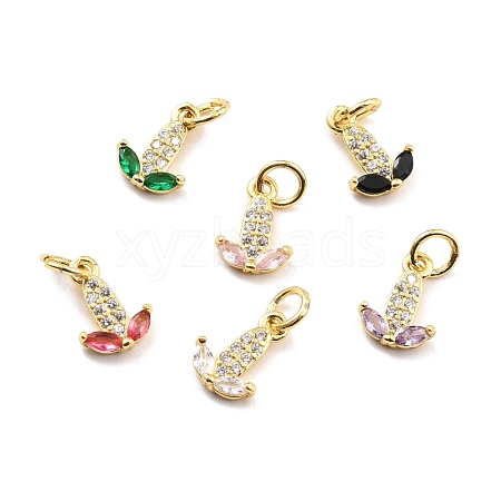 Brass Micro Pave Cubic Zirconia Charms KK-A156-10G-RS-1