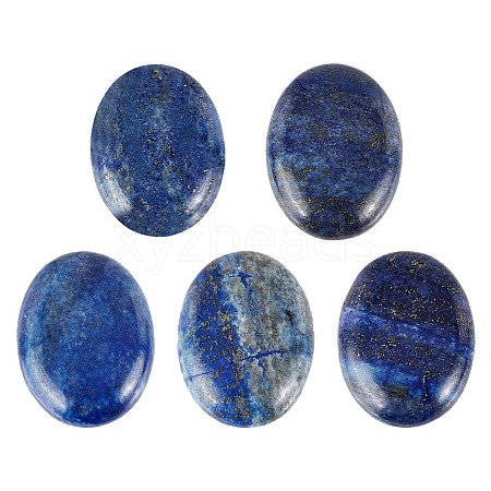   Natural Lapis Lazuli Flat Back Cabochons G-PH0002-22A-1