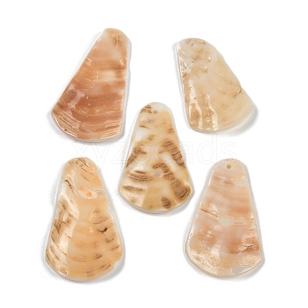 Natural Freshwater Shell Pendants SHEL-K009-06-1