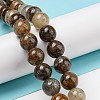 Natural Golden Leaf Jasper Beads Strands G-R494-A20-04-4