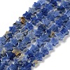 Natural Sodalite Beads Strands G-G085-B46-02-2