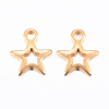 Ion Plating(IP) 304 Stainless Steel Charms X-STAS-H392-01G-1