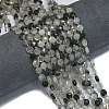 Natural Tourmalinated Quartz Beads Strands G-K389-B26-01-2