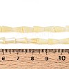 Anti-Tarnish Electroplate Glass Beads Strands GLAA-T025-27C-4