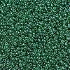 MIYUKI Round Rocailles Beads X-SEED-G007-RR0173-3