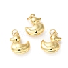 Rack Plating Brass Pendants KK-D074-28G-2