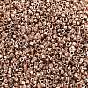 MIYUKI Delica Beads SEED-X0054-DB2504-2
