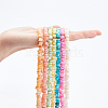 CHGCRAFT 7 Strands 7 Colors Shell Beads Strands BSHE-CA0001-03-3