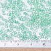 MIYUKI Round Rocailles Beads SEED-JP0008-RR0219-4