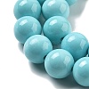 Synthetic Turquoise Beads Strands G-A255-A04-01B-2