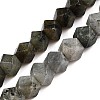 Natural Labradorite Beads Strands G-T138-37-4