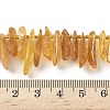 Natural Amber Beads Strands G-L095-D01-05-5