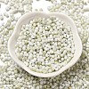 Baking Paint Glass Seed Beads SEED-F005-01A-10-2