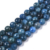 Natural Apatite Beads Strands G-N328-008-1