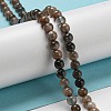 Natural Black Moonstone Beads Strands G-A219-A01-01-4