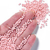 Glass Seed Beads SEED-S060-A-F412-4