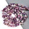 Natural Quartz Beads Strands G-G905-23-2