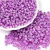 DIY Craft Beads 6/0 Ceylon Round Glass Seed Beads X-SEED-A011-4mm-150-3