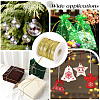 Sparkle Nylon Ribbon OCOR-GF0004-48A-03-5