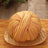 Cashmere Segment Dyed Yarn PW-WG4CBEA-13-1