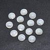 Shell Cabochons SSHEL-P015-61-12mm-1