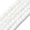 Opaque Glass Beads Strands GLAA-L050-C24-1