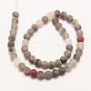 Natural African Bloodstone Beads Strands G-P295-05-6mm-2