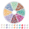 80G 8 Colors Glass Seed Beads GLAA-GO0001-20B-1