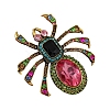 Spider Rhinestone Brooch PW-WGAC6BD-01-5