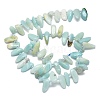 Natural Flower Amazonite Beads Strands G-G106-J02-01-2