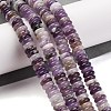 Natural Amethyst Beads Strands G-G084-A12-01-2