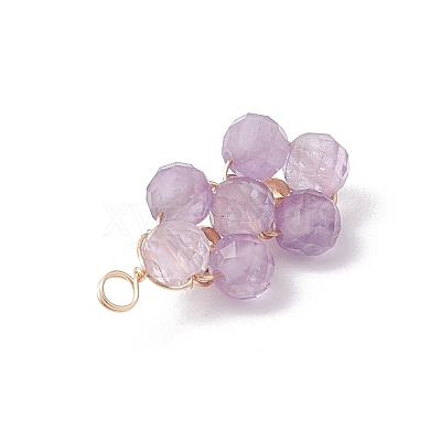 4Pcs 4 Styles Natural Amethyst & Agate & Green Aventurine & Lapis Lazuli Faceted Round Beaded Flower Pendants PALLOY-TA00256-1