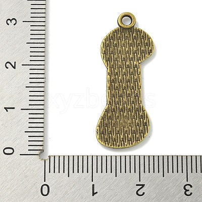 Tibetan Style Alloy Pendants TIBE-I026-5998AB-1