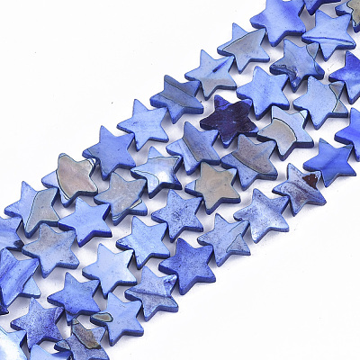 Freshwater Shell Beads Strands SHEL-S276-31B-1