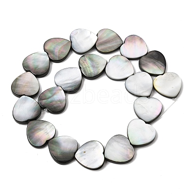 Natural Black Lip Shell Beads Strands BSHE-D300-06C-1