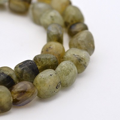 Natural Labradorite Bead Strands G-P070-23-1