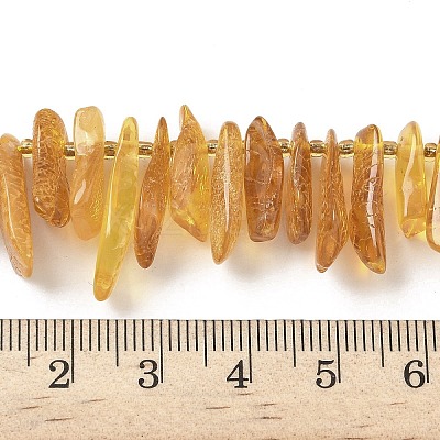 Natural Amber Beads Strands G-L095-D01-05-1