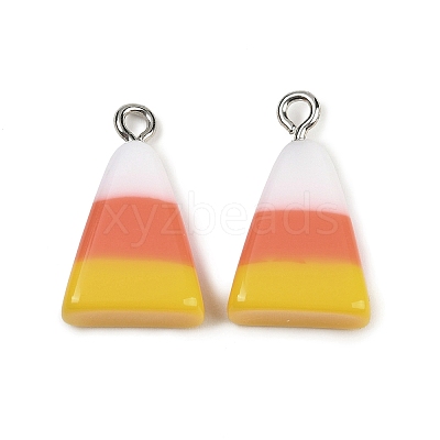 Opaque Resin Pendants RESI-C062-01-1