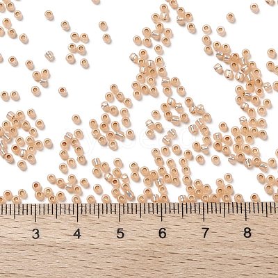 TOHO 11/0 Round Beads X-SEED-TR11-PF2111-1