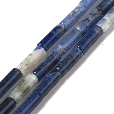 Natural Sodalite Beads Strands G-P489-02-1