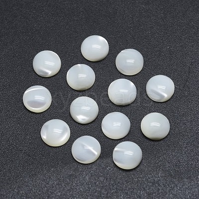 Shell Cabochons SSHEL-P015-61-12mm-1