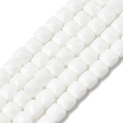 Opaque Glass Beads Strands GLAA-L050-C24-1
