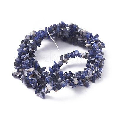 Natural Sodalite Beads Strands LS-G-G782-31-1