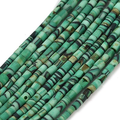 Dyed Synthetic Turquoise Beads Strands G-P594-01B-06-1